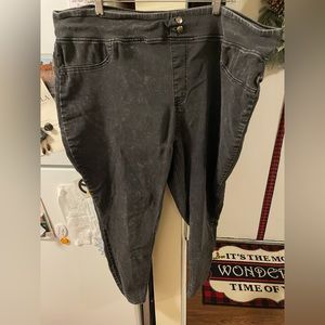 Terra Sky 20-22W Jeggings (2X) Gray